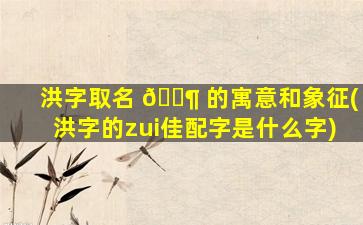 洪字取名 🐶 的寓意和象征(洪字的zui
佳配字是什么字)